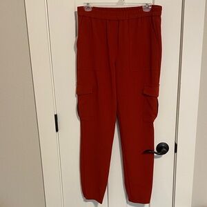NWOTs Theory Red Women's Pants